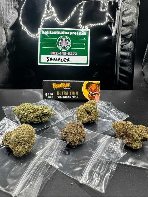 Sampler Pack Mids
