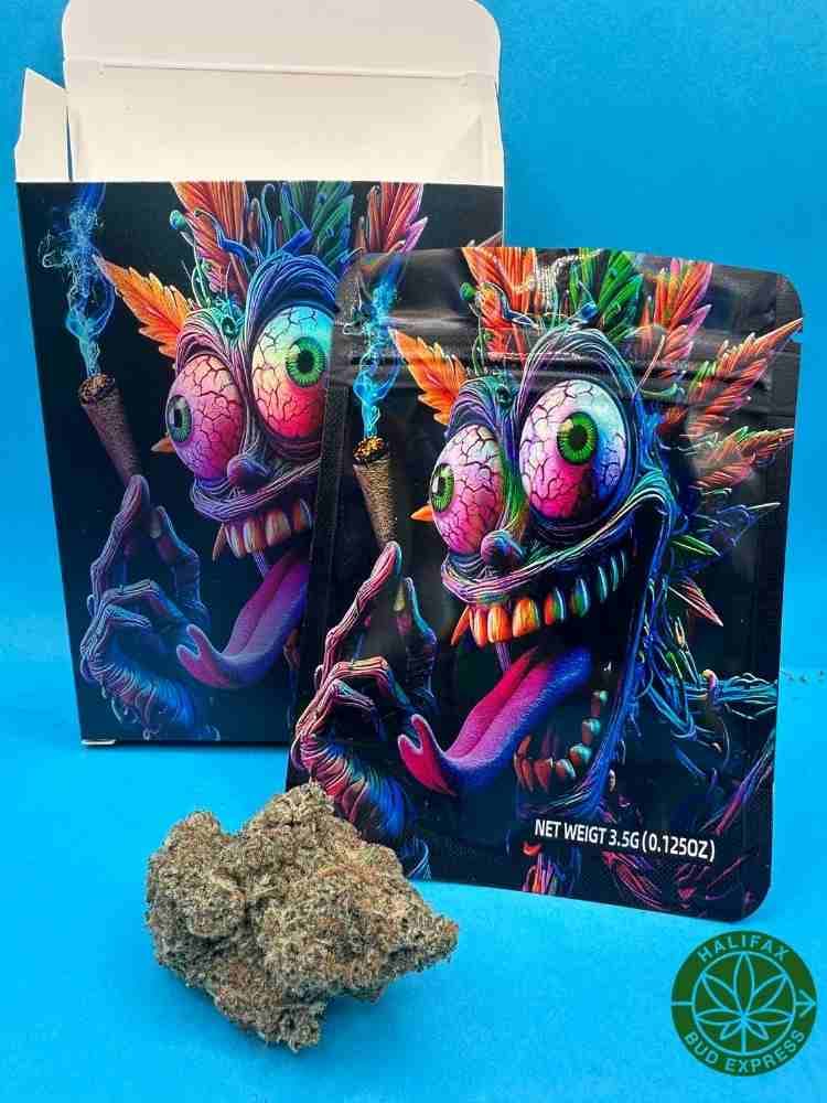 Head Punk 3.5 G