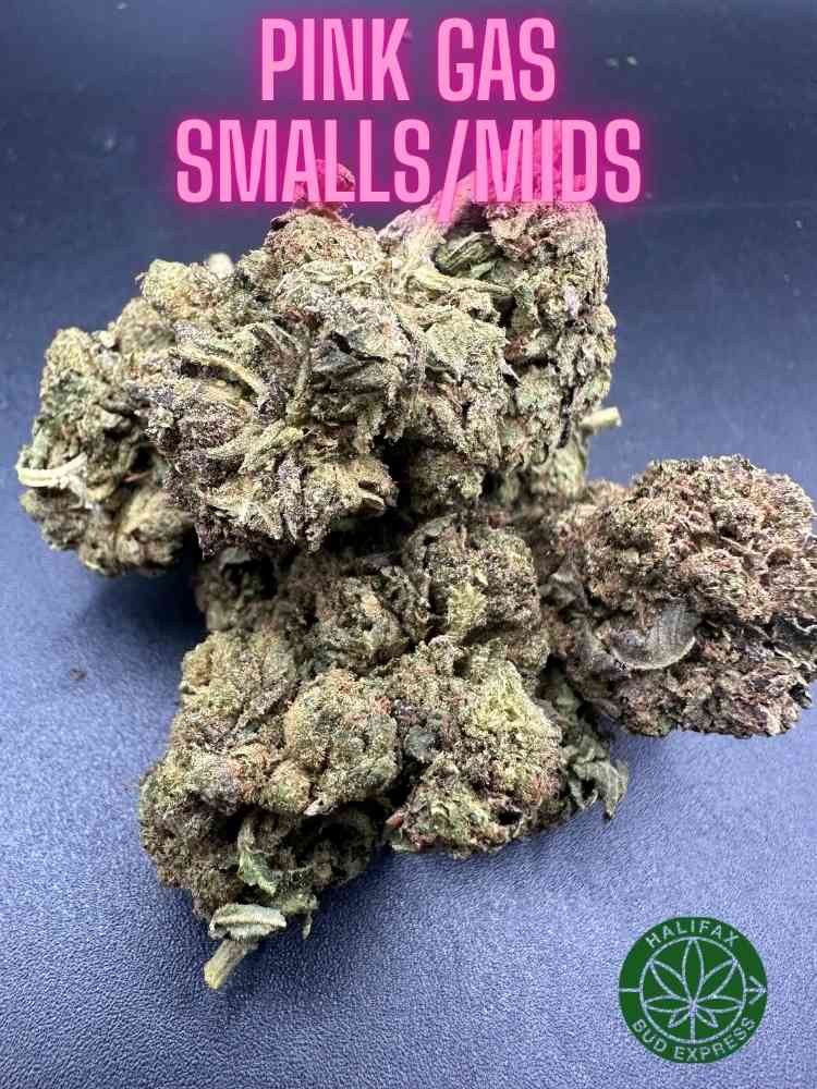 Pink Gas AA (small/mid buds)