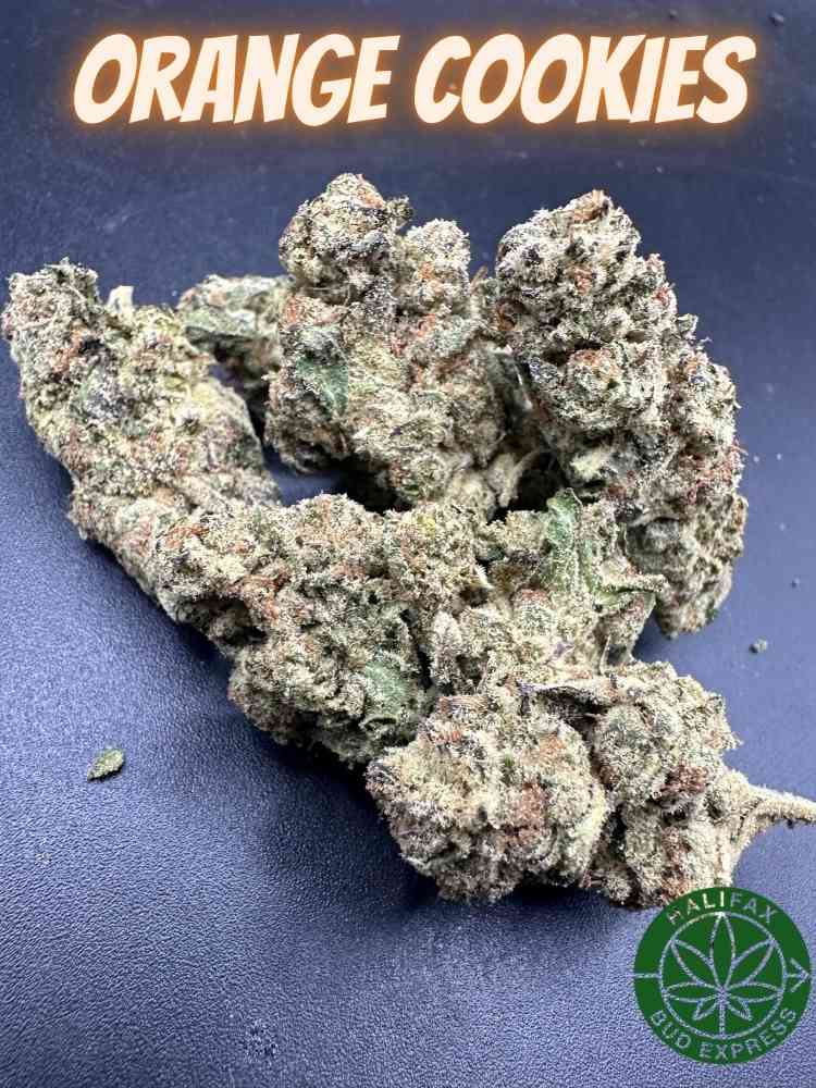Orange Cookies