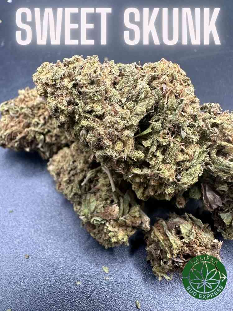 Sweet Skunk