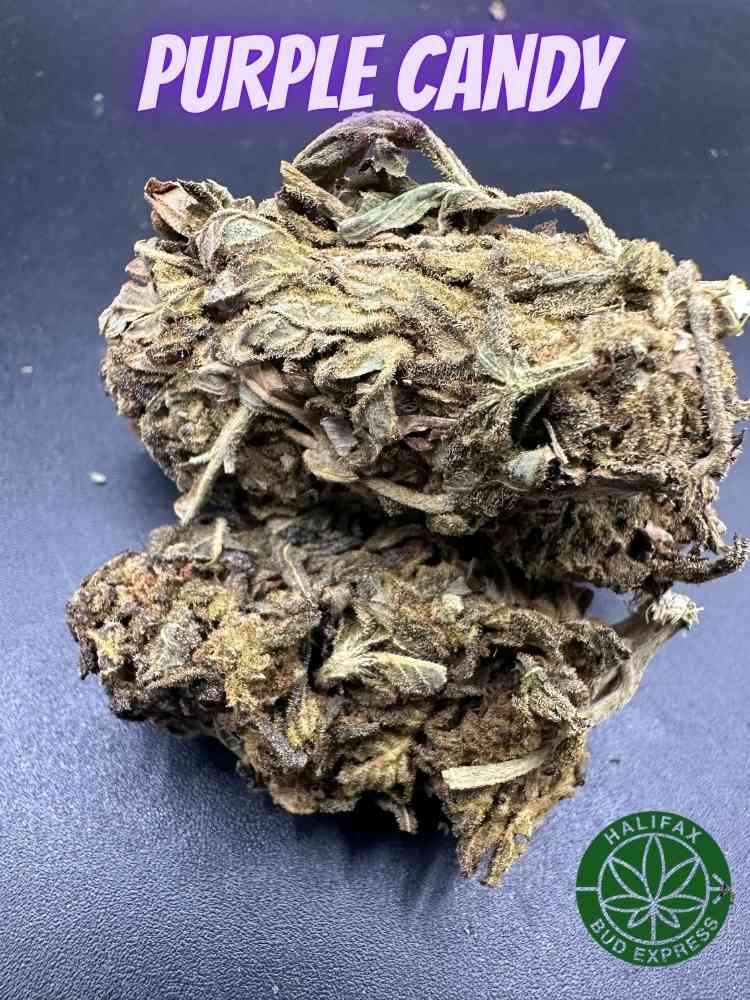 Purple Candy