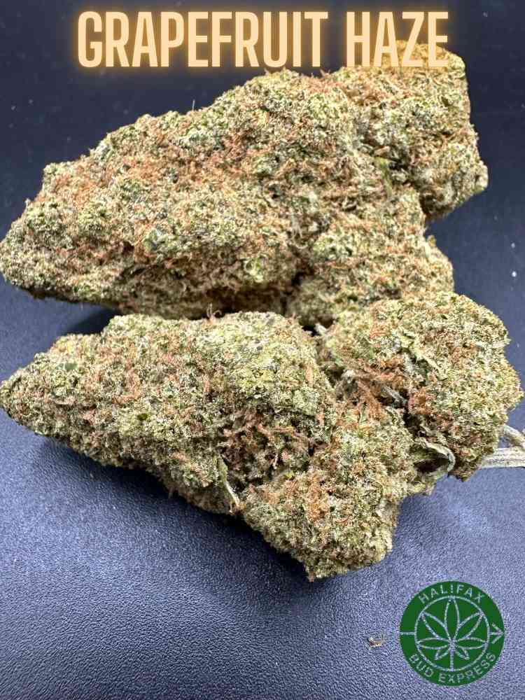Grapefruit Haze AA++