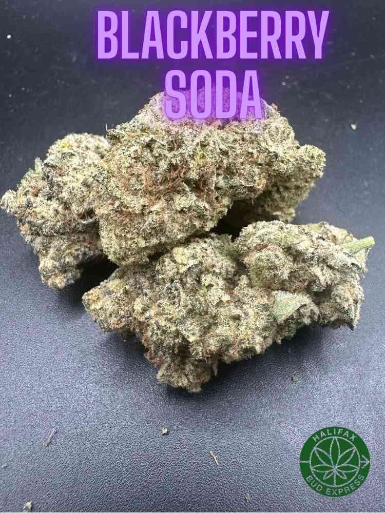 Blackberry Soda AA+++