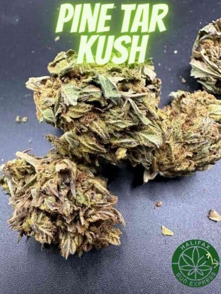 Pine Tar Kush