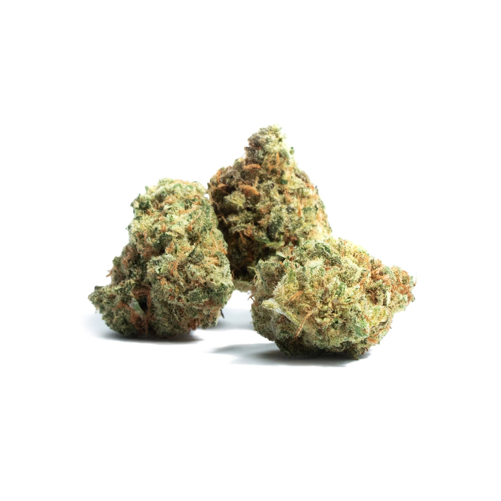 Choco Fire sativa hybrid cannabis flower
