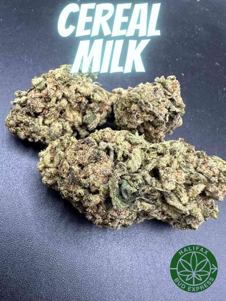 Cereal Milk