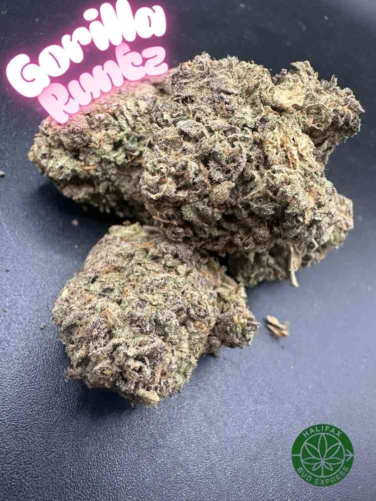 Gorilla Runts