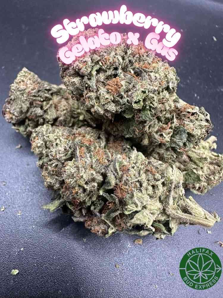 Gassy Weed Dartmouth