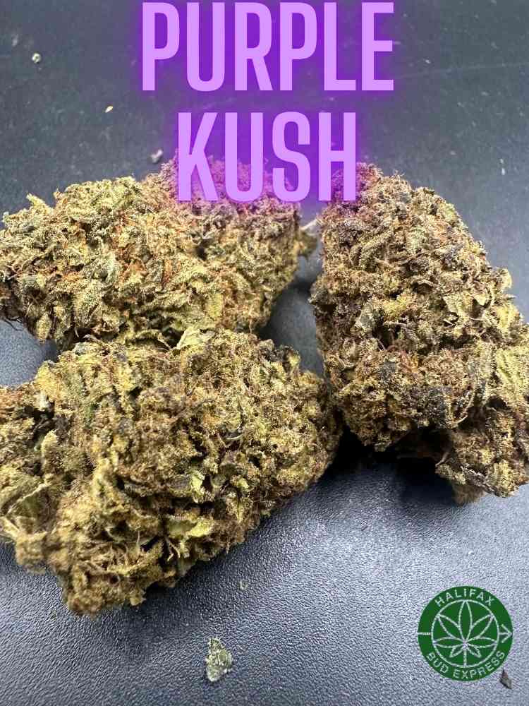 Purple Kush