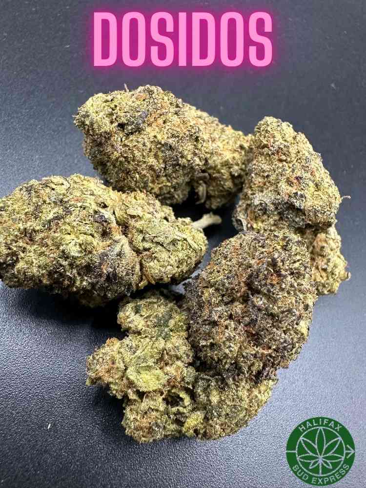 Dosi-dos AA