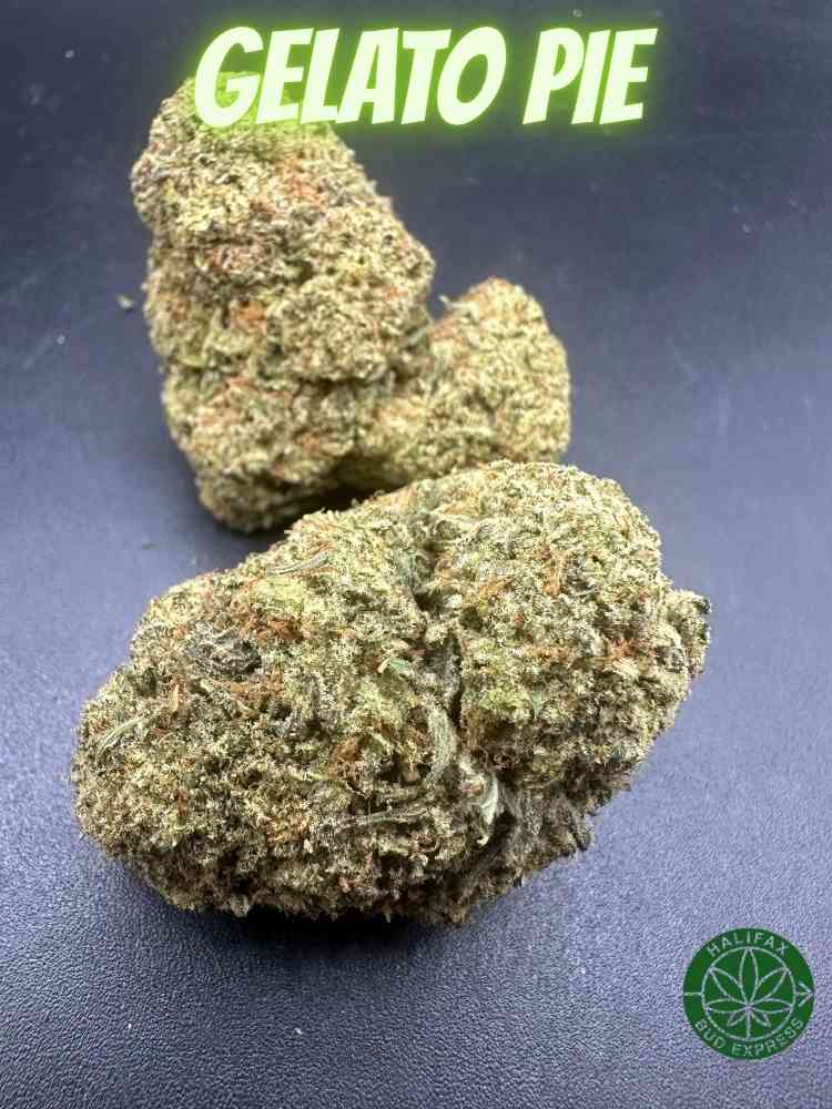 Gelato Pie AA