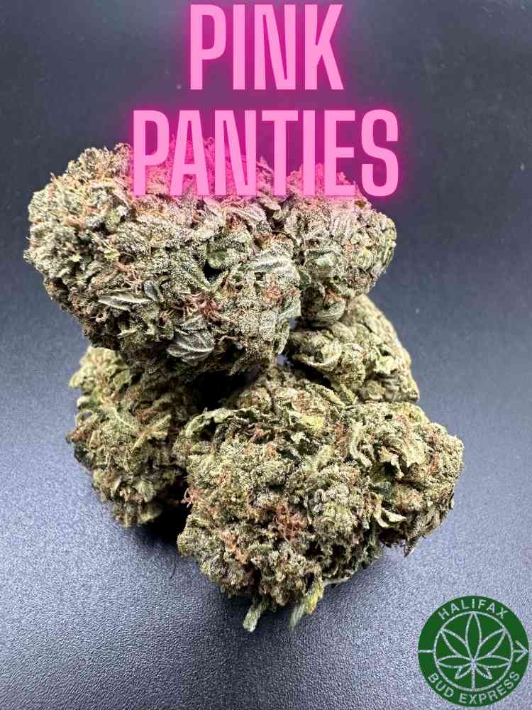 Pink Panties AA++
