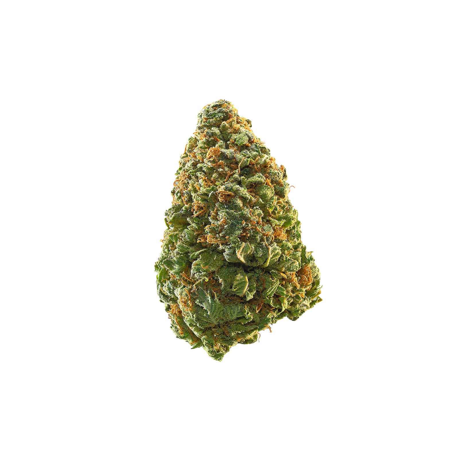 Mango Kush cannabis flower