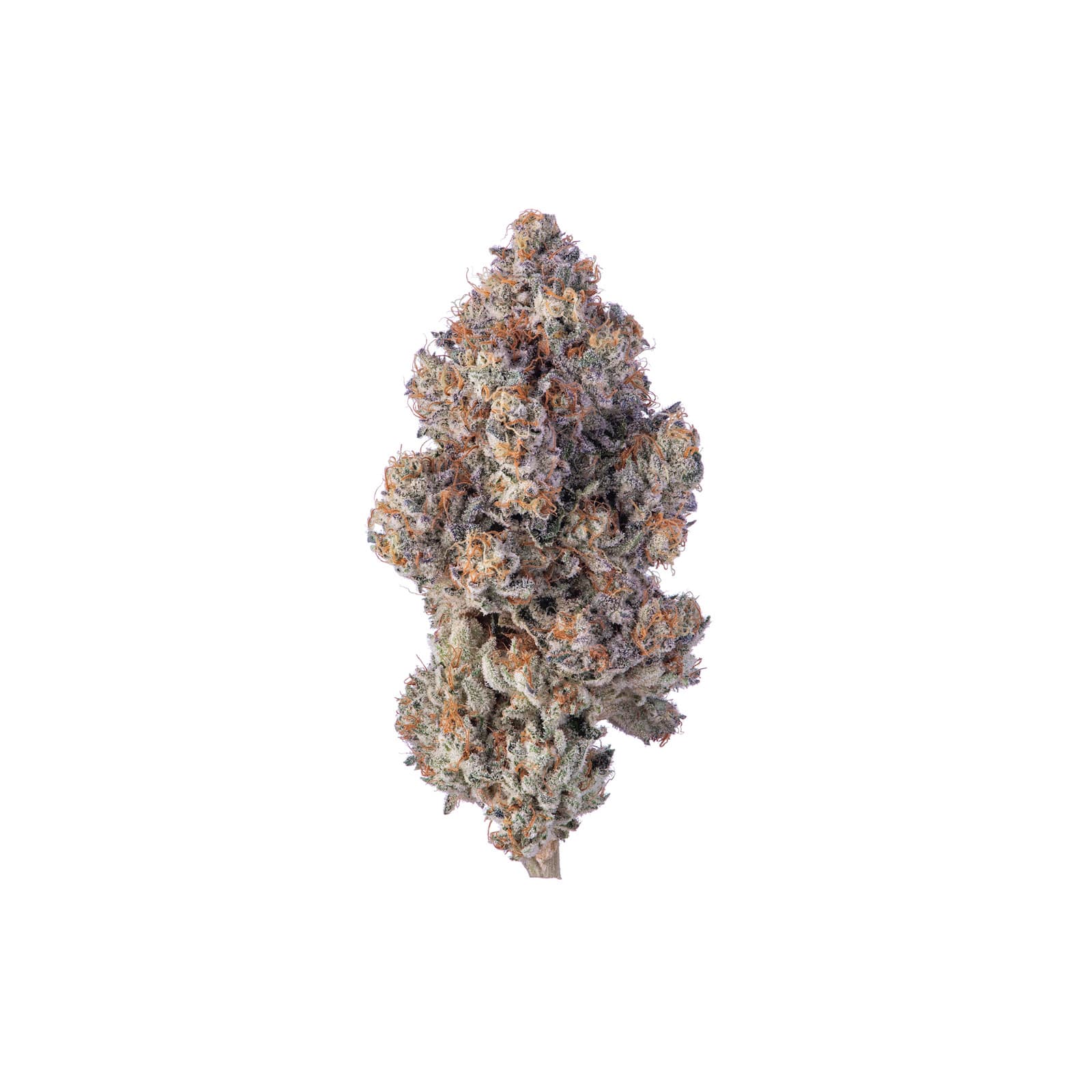 Pink Alien cannabis flower