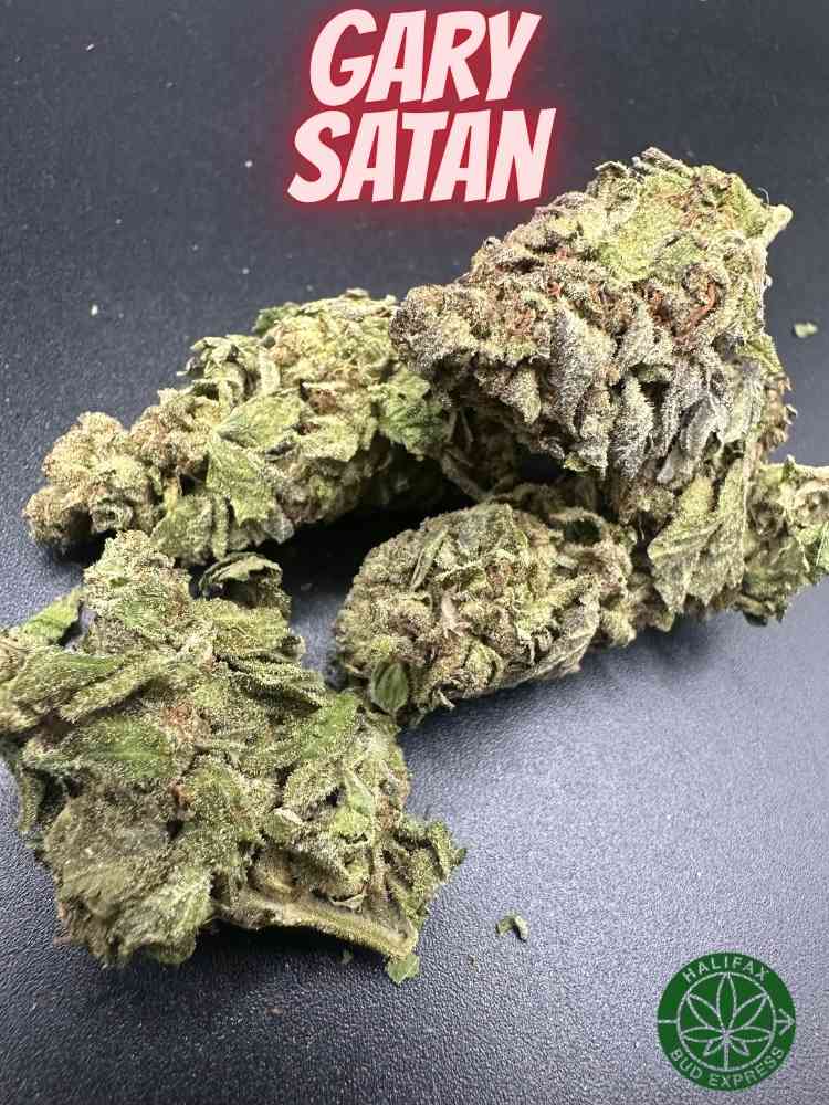 Gary Satan