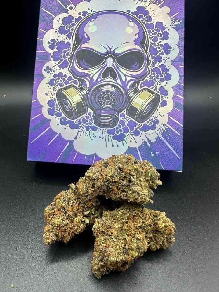Halloween Gift – 3.5 G Gas Mask