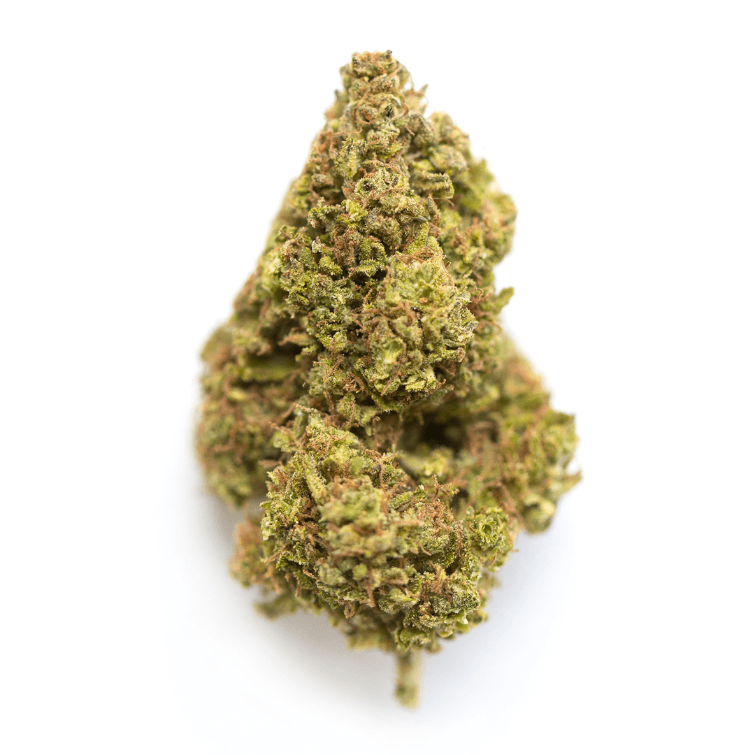 Sugar Cane cannabis flower