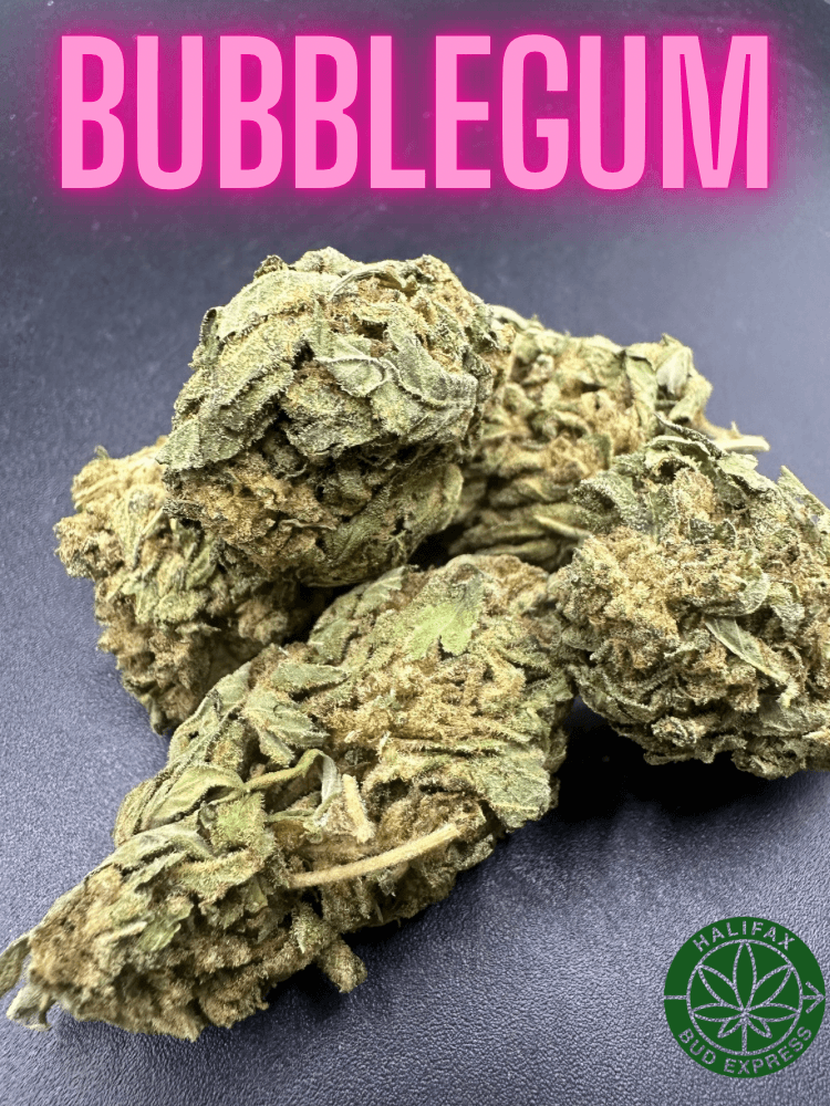 Bubblegum