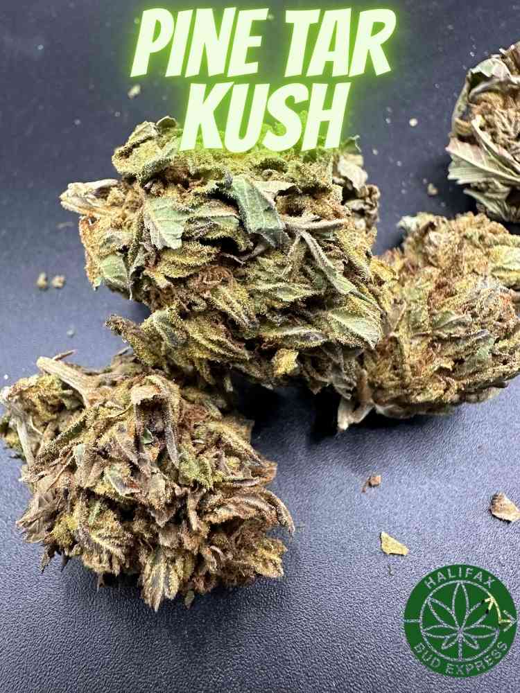 Pine Tar Kush