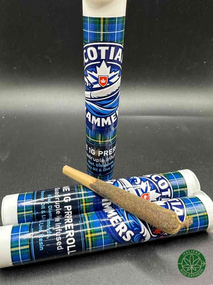 Scotian Slammer-1 Gram Quadruple Infused