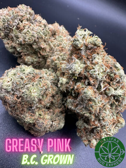 Greasy Pink AAA (B.C Grown)