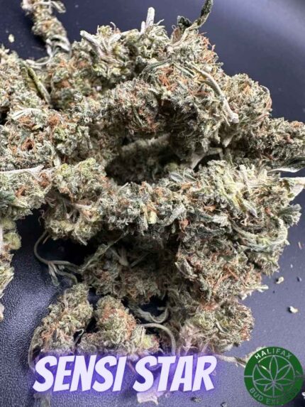 Sensi Star (Small Trims from AA Batch)