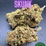 Purple Skunk