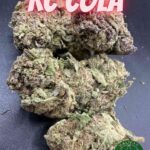 Halifax Cannabis Shop