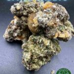 Space Cadets The Antidote