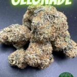 Halifax Bud Delivery