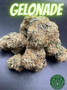 Halifax Bud Delivery