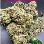 Hybrid Cheap Weed Dartmouth