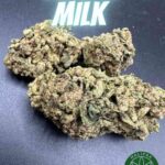 Cereal Milk