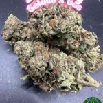 Gassy Weed Dartmouth