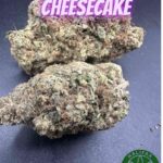 Blackberry Cheesecake AAA++