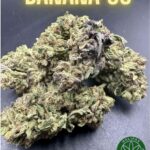 Banana OG