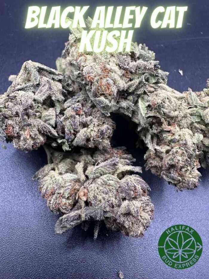Monday & Friday - Buy One OZ Get1/2 oz Free - Image 2